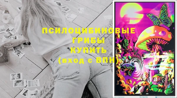 mdpv Бугульма